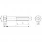 Preview: Zylinderkopfschrauben mit Innensechskant ISO 4762 (DIN912) M3 - M8 Niro
