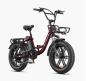 Preview: ENGWE Tiefeneinstieg E-Bike L20-Boost