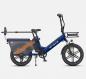 Preview: ENGWE LE20 Durchstieg Lasten-E-Bike