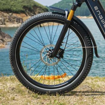 ENGWE E-Bike E26 3.0 Pro Durchstieg