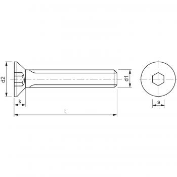 Zylindersenkkopfschrauben mit Innensechskant ISO 10642 (DIN7991) M3 - M8 Niro