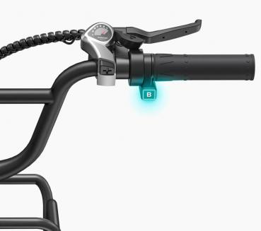 ENGWE Tiefeneinstieg E-Bike L20-Boost