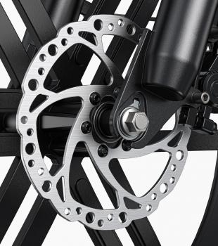 ENGWE Tiefeneinstieg E-Bike L20-Boost