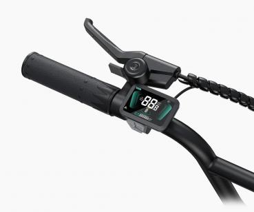 ENGWE Tiefeneinstieg E-Bike L20-Boost