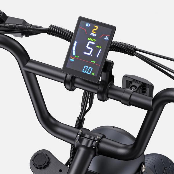 ENGWE M1 Vollgefedertes Fat E-Bike internationale Version