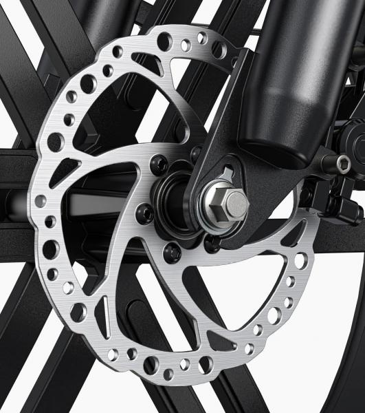 ENGWE Tiefeneinstieg E-Bike L20-Boost
